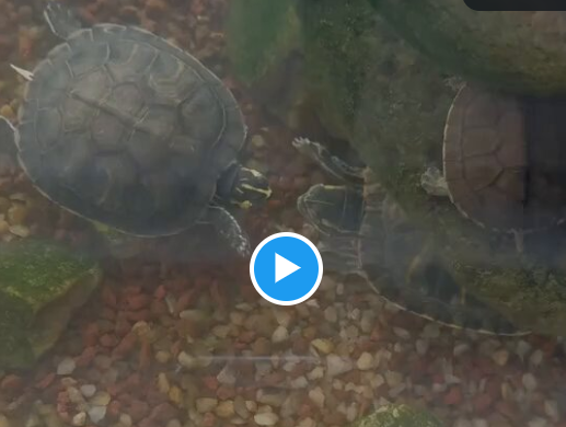 how-nature-reacts